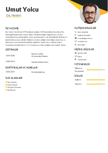 Diş Hekimi cv indir